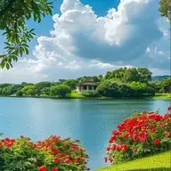 丁立梅：这世上，有我看不尽的红花绿草