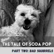 The Tale of SodaPop: Part Two