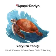 Enerji güvenliğini ve kömür yatırımlarında İklim Ağı neler öneriyor?