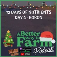 12 Days of Nutrients - Day 4: Boron