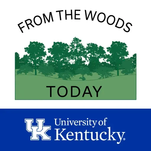From the Woods Today - Forestry Careers