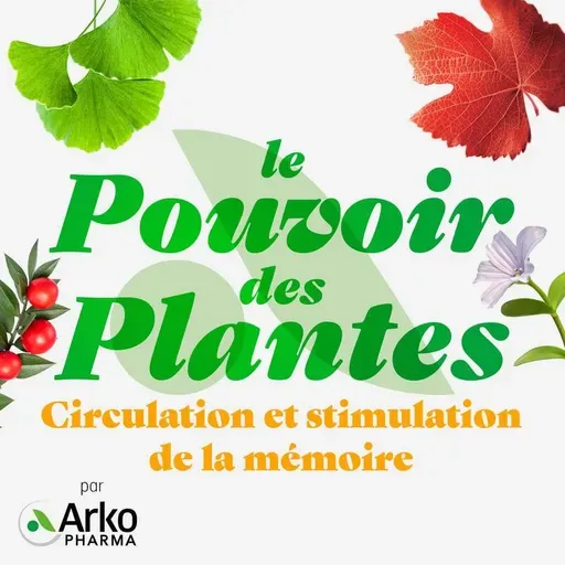 Circulation et stimulation de la mémoire