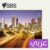 نشرة أخبار المساء 18/09/2025
