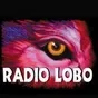 Radio Lobo 97.7 - KLVO