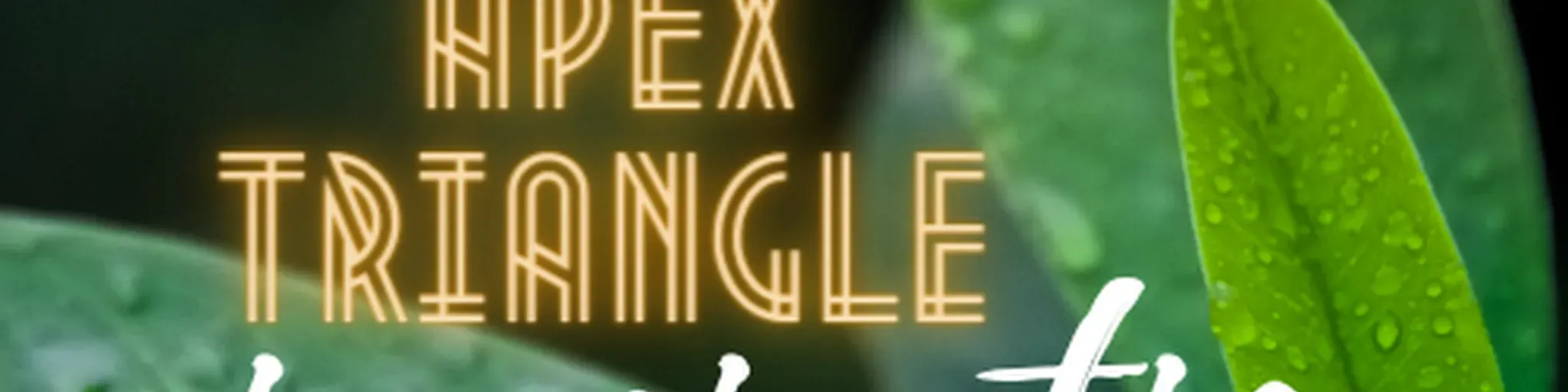 APEX TRIANGLE INSPIRATION