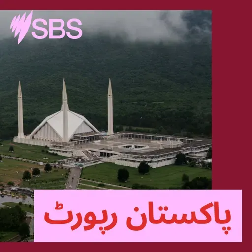 پاکستان رپورٹ: حکومت پاکستان نے قومی ٹیم کو 15 فروری کو بھارت کیخلاف میچ کھیلنے کی اجازت دیدی