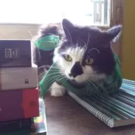 Тридцать четвертая китайская стратегема.mp3