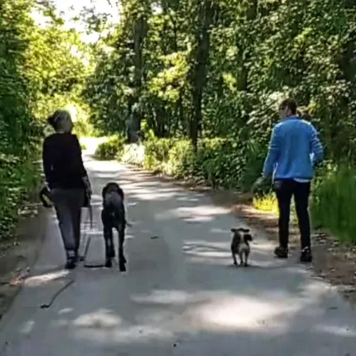 👫 ... najbolj slaten priboljšek ne pomaga 🤣  help me!