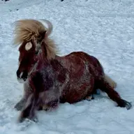 276 - Bare drømmer og tidsfordriv?