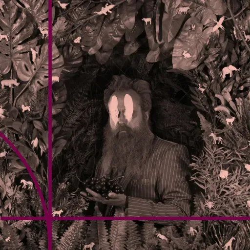 Sam Beam of Iron & Wine: Grammy-nominated musician on creativity, collaboration, and why a good day is finding one great lyric