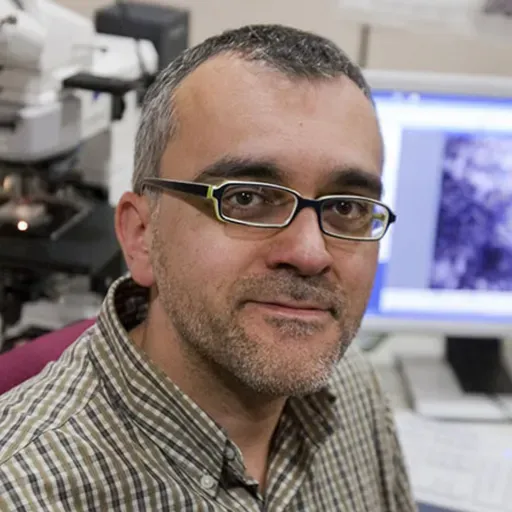 Radiació de fons: meteorits i defensa planetària