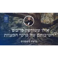 פרשת משפטים • 'אילן ששורשיו מרובים' - חשיבותם של פרטי המצוות