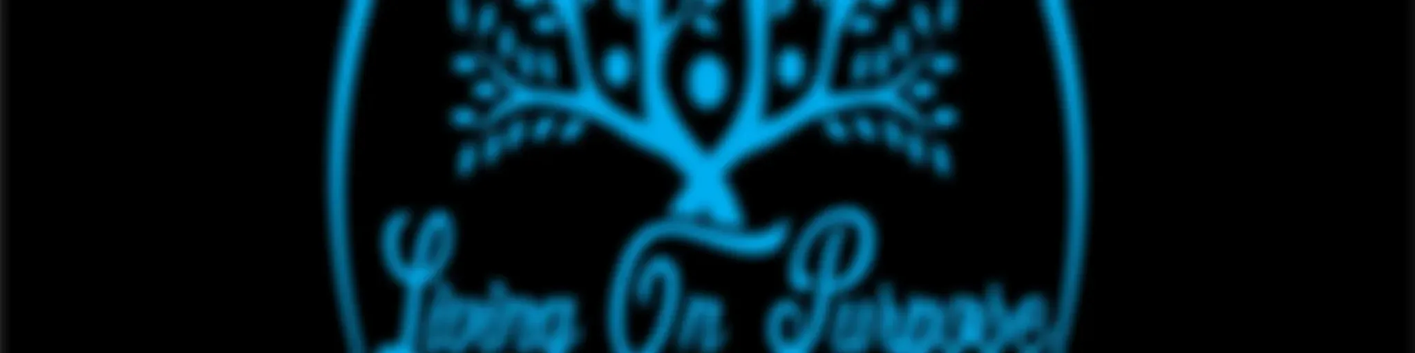 Living On Purpose w/ Bri & She