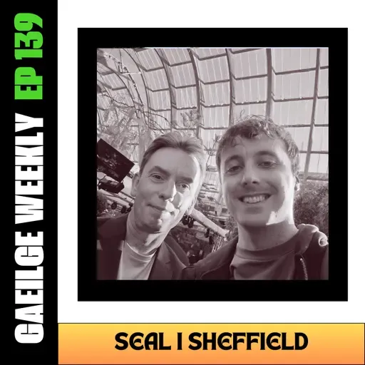 #139: Seal i Sheffield (NÍOS SIMPLÍ)