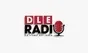 D.L.E RADIO