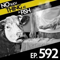 592: No Such Thing As A Cat In A Muumuu