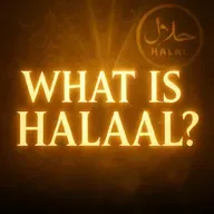 What Is Halaal? (Very Simple Explanation) | Mufti Menk