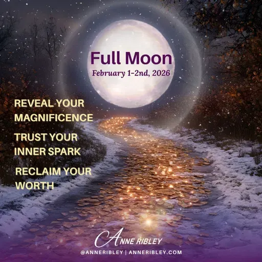 February Full Moon 2026 Insider