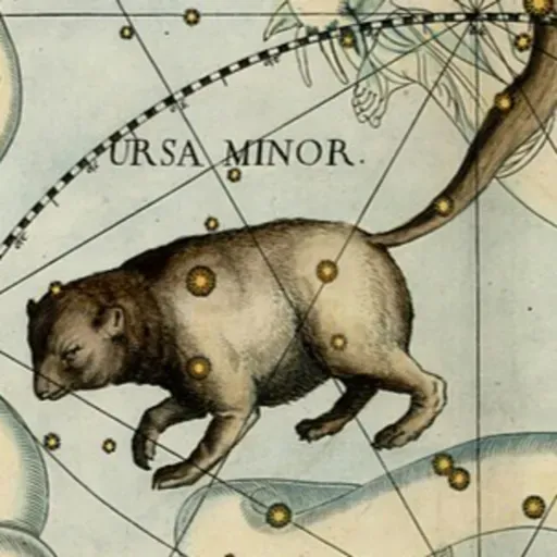 147. Osa menor