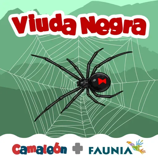 Viuda negra: La verdad detrás del miedo