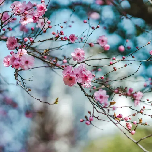 طبیعت نو و سال نو تان خجسته باد