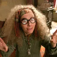 3.16 Prof. Trelawney'nin Kehaneti