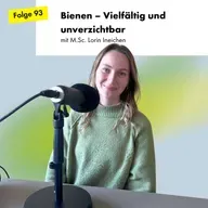 Bienen – Vielfältig  und unverzichtbar