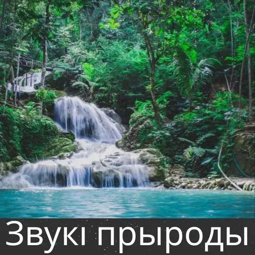 Звукі бярвёнак і вадаспаду ў бярвеністай перапоне - 10 гадзін для сну, медытацыі і рэлаксацыі