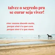 #164 - talvez o segredo pra se curar seja viver.