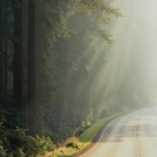 Episode 4: Learning to Surrender