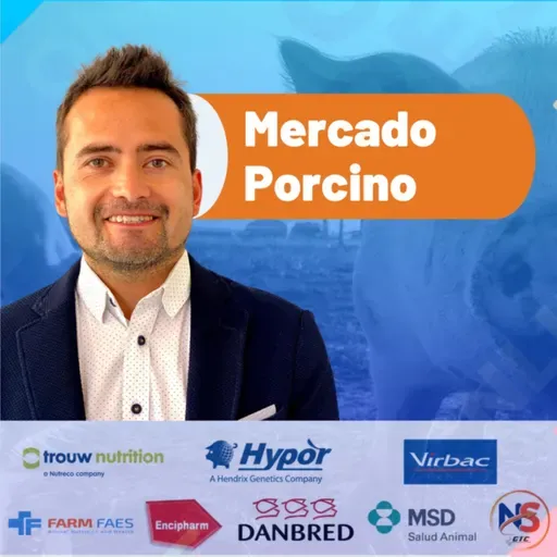 Semana 9 - 2025 | Informe de Rabobank Q1 2025 para la carne de cerdo