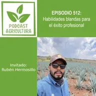 512 Habilidades blandas para el éxito profesional con Rubén Hermosillo