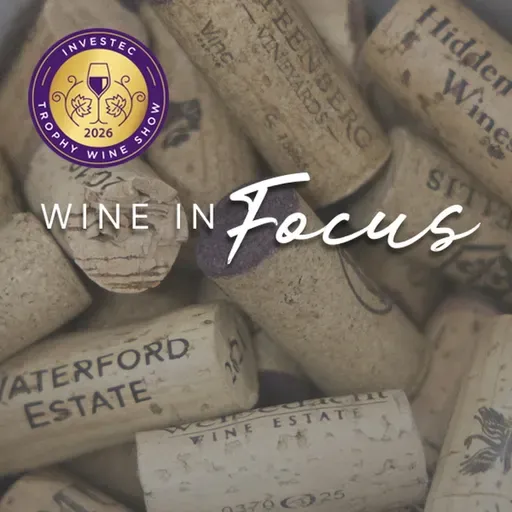 Wine in Focus | Inside the judging room: How wines win