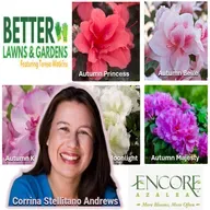 S2 Ep449: Better Lawns and Gardens - Hour 2 New Encore Azaleas! May 9, 2026