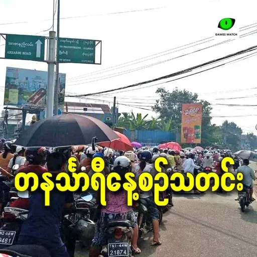 မတ်လ ၂၄ရက် တနင်္သာရီနေ့စဉ်သတင်း အစီအစဉ်