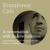 Exploring the DMT Realm and the Nature of Reality