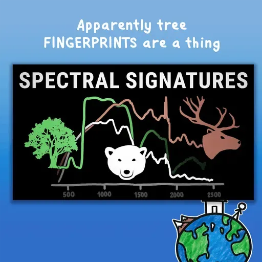 Apparently tree FINGERPRINTS are a thing