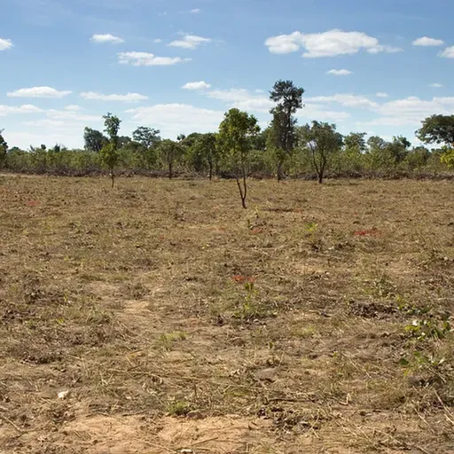 Le journal du 23 avril 2026 - Gouvernance pastorale à Gaya et mémoire de l’accord de paix de 1995
