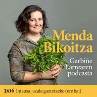 Menda Bikoitza 3x16: Intsusa, azala gaztetzeko (ere bai)