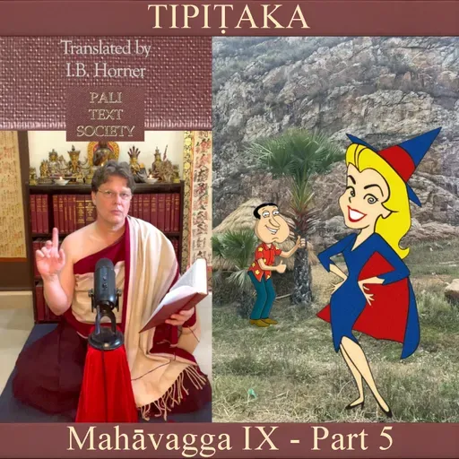 Buddhist Books: TIPIṬAKA 192 • Mahāvagga IX - Part 5