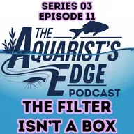 The Filter Isn’t a Box: How Flow, Oxygen & Biofilm Make (or Break) a Healthy Freshwater Aquarium