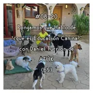 #08-20 - Pongamos que Hablo de '¿qué es Educación Canina?' con Daniel Turrión de ATÚK (ES)