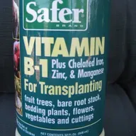 Can Vitamin B1 Help New Garden Transplants?