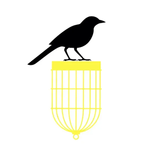 Episode 37: Three transformational practices