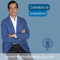 Tu intestino influye en tu estado de ánimo: microbiota, ansiedad y cerebro