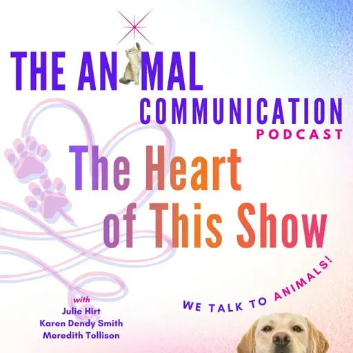 The Heart of Our Show