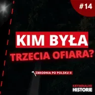 SPRAWA, KTÓRA WRÓCIŁA PO 20 LATACH. SERYJNY SPOD OTMUCHOWA | ZBRODNIA PO POLSKU II #14