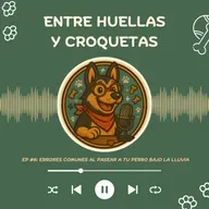 Errores comunes al pasear a tu perro bajo la lluvia