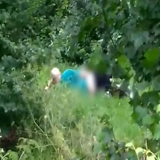 **Mum Issues Stark Warning That Children in Tallaght are Unsafe Due to "Dangerous Predator"***