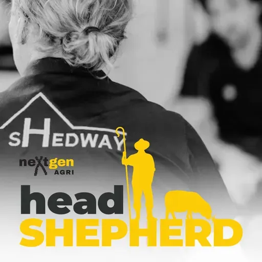 What practical mental health support looks like in the shearing industry with Carol Mudford